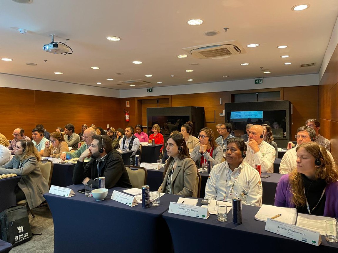 Evento reuniu médicos veterinários de toda a América do Sul para capacitação técnica em ferramenta de gestão de riscos sanitários, como reforço à prevenção e rápida resposta à peste suína africana (PSA)