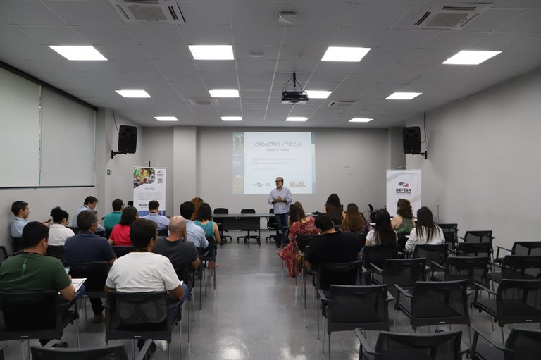 campinas_vinicolas (10).jpeg