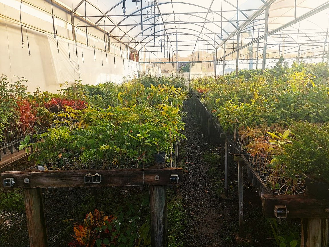 Comerciantes ofereciam produtos em plataforma digital, mas não tinham registro para comercializar. Operação durou mais de um ano