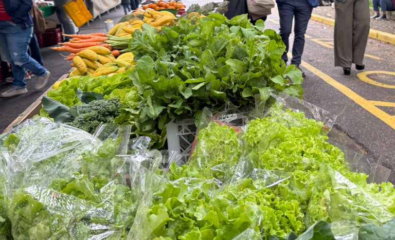 organicos_SP (2).png