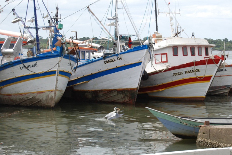 DSC_0965.JPG