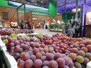 Eventos ajudam a promover o consumo de uva, vinho, figo e goiaba; Ministério da Agricultura ajuda a proteger a produção no Estado