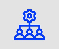 Organização