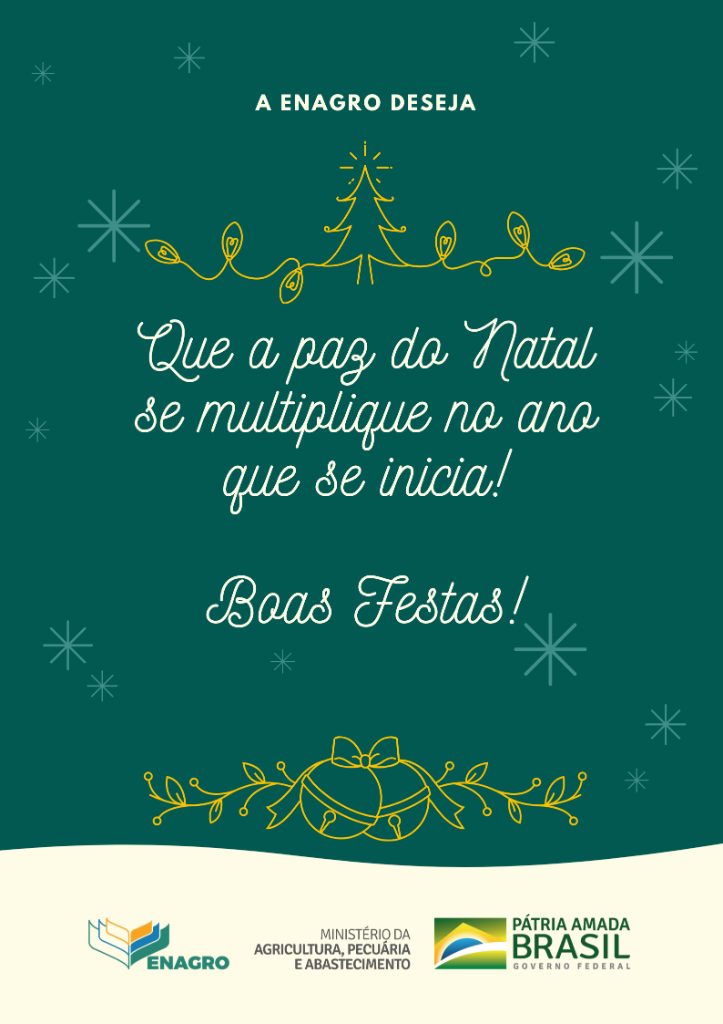 Cartaz Verde e Branco de Bazar de Natal 24 12.png