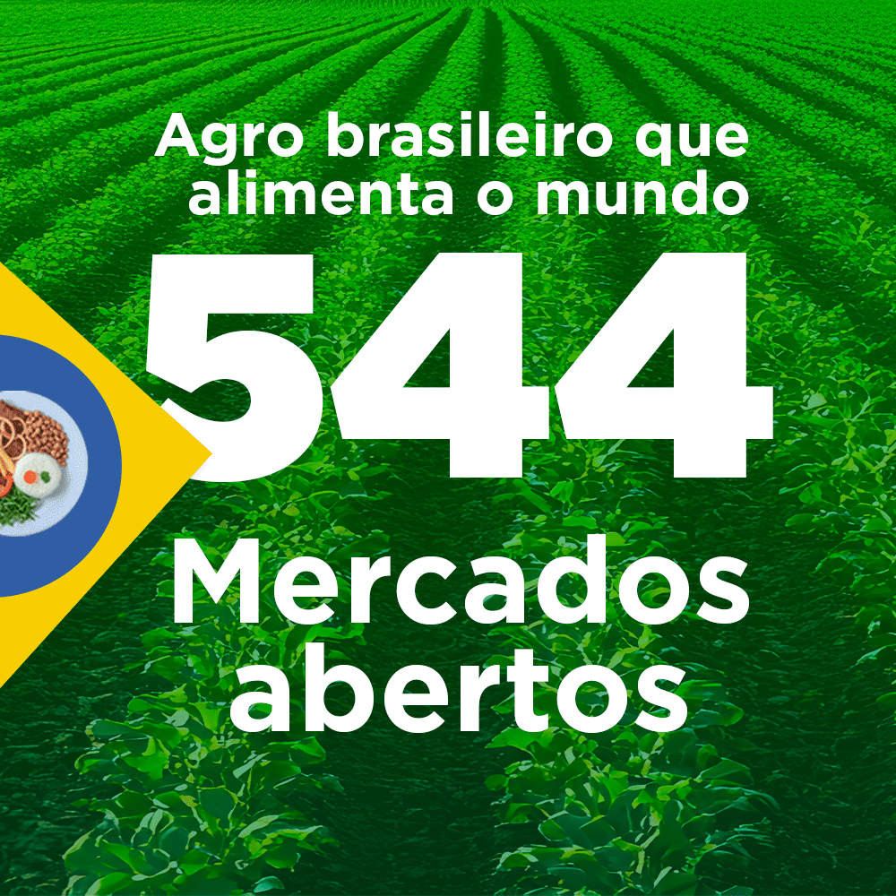 ABERTURA DE MERCADOS