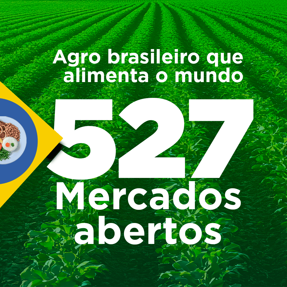 ABERTURA DE MERCADOS