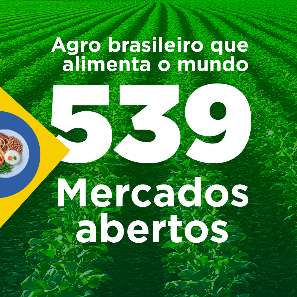 ABERTURA DE MERCADOS