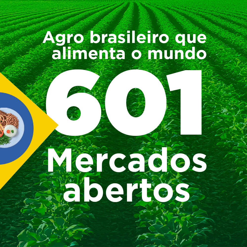 ABERTURA DE MERCADOS
