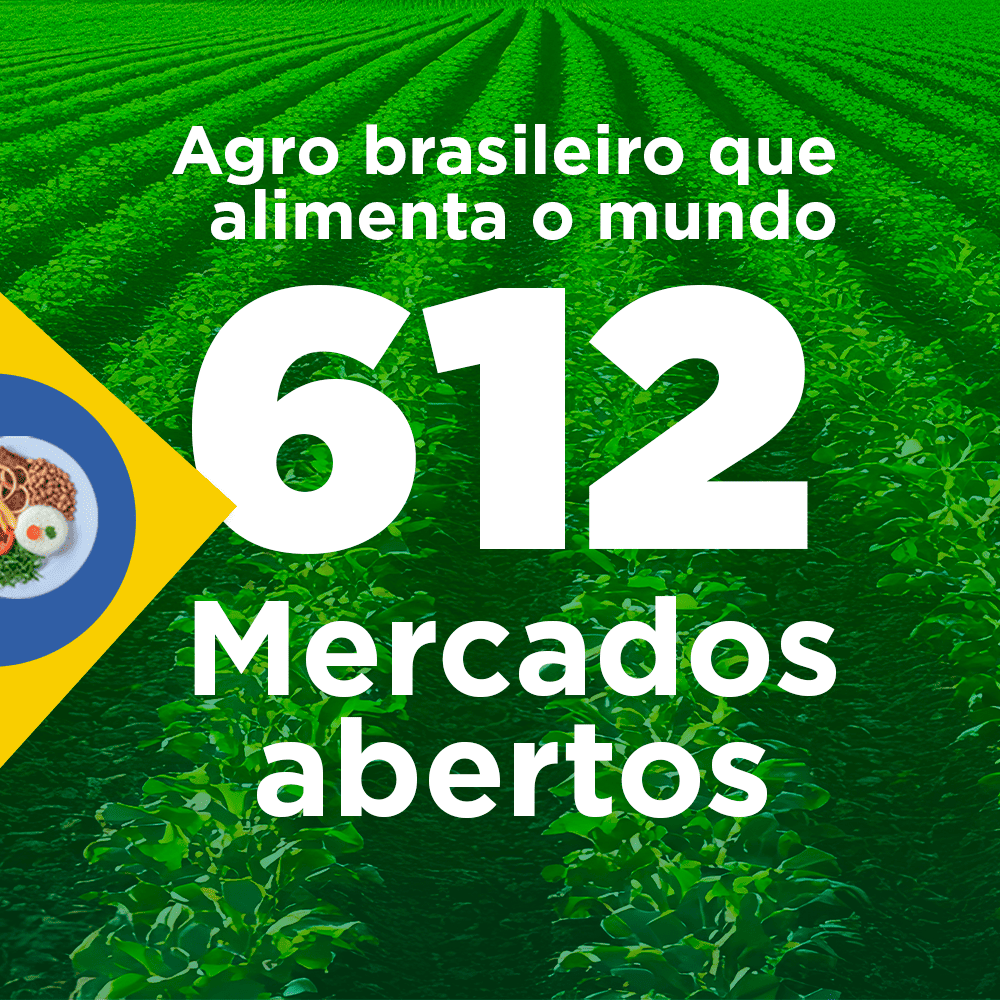 ABERTURA DE MERCADOS