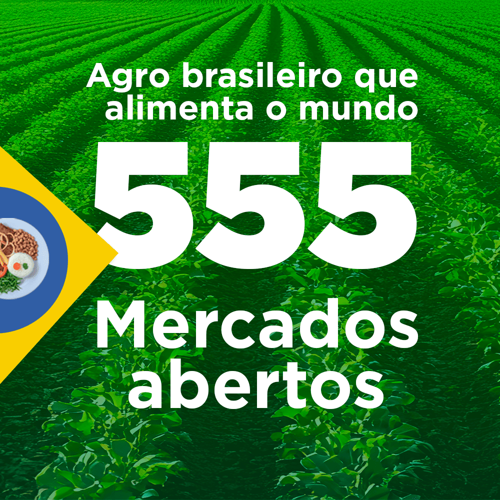 ABERTURA DE MERCADOS