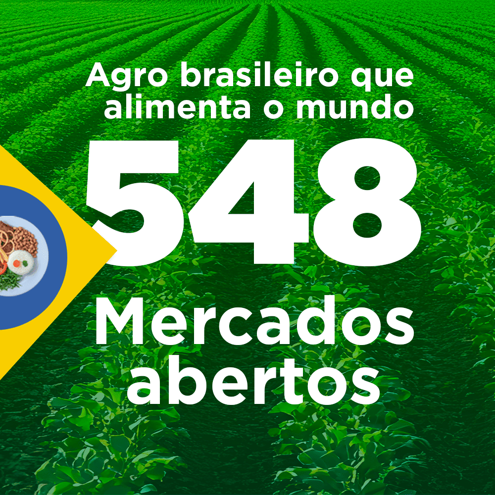 ABERTURA DE MERCADOS