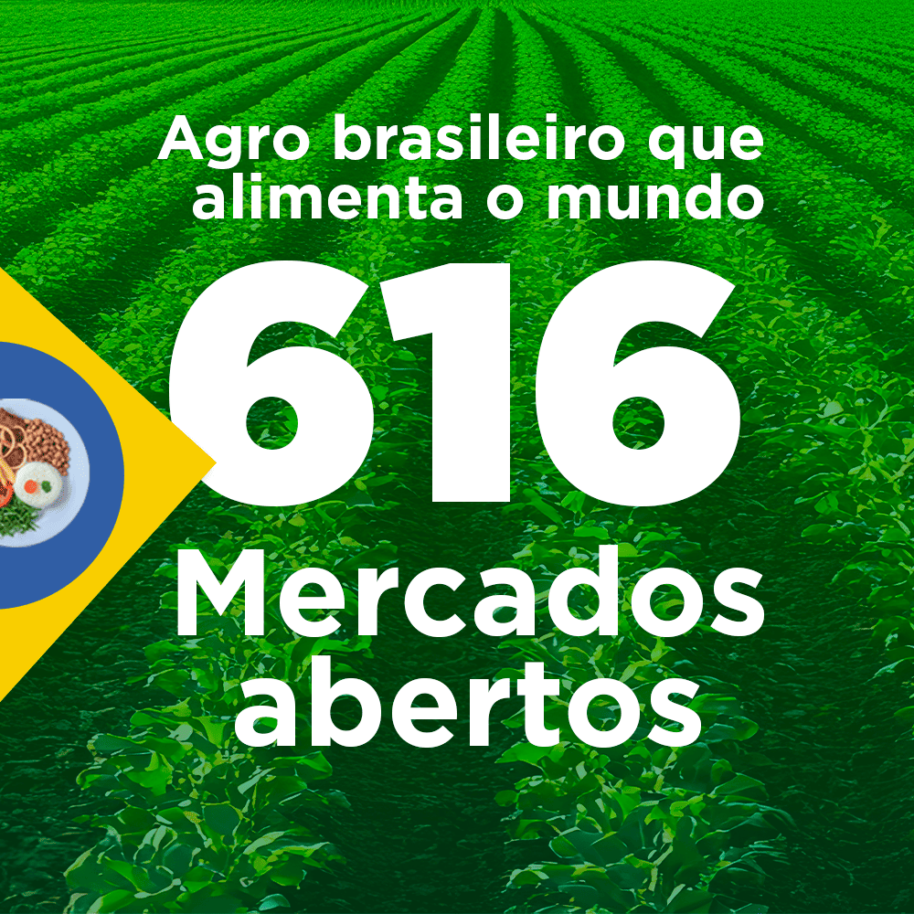 ABERTURA DE MERCADOS