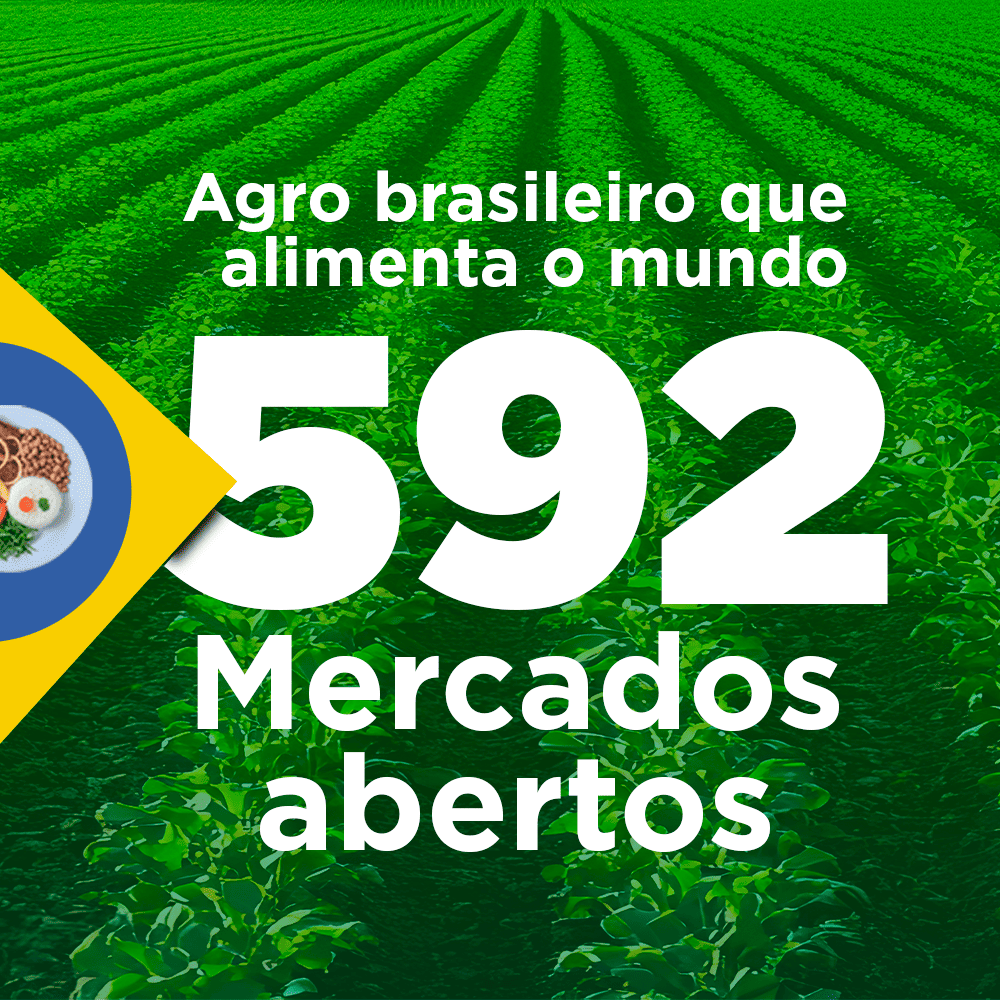 ABERTURA DE MERCADOS