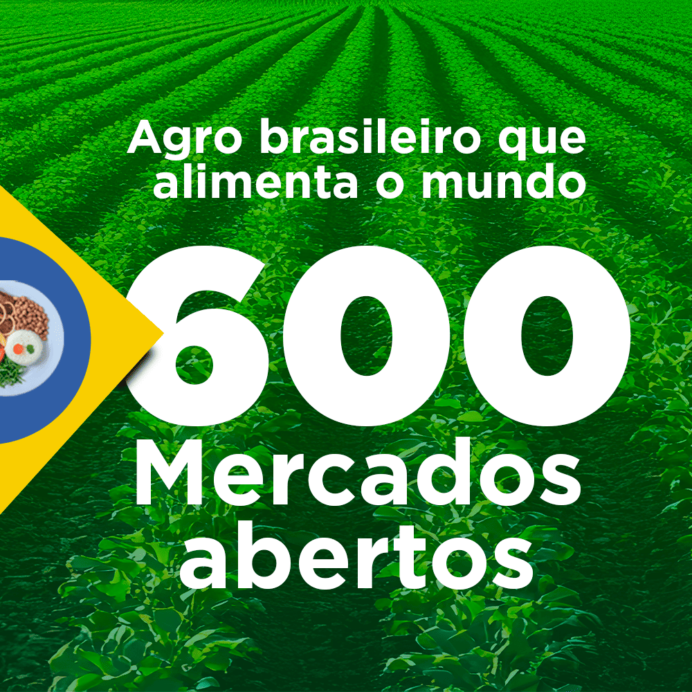 ABERTURA DE MERCADOS