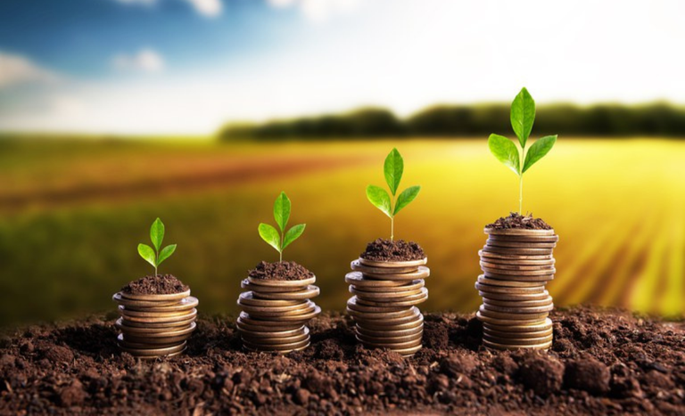 Crédito rural cresce 7% no Plano Safra 2025/2026 e totaliza R$ 354,4 bilhões contratados até fevereiro