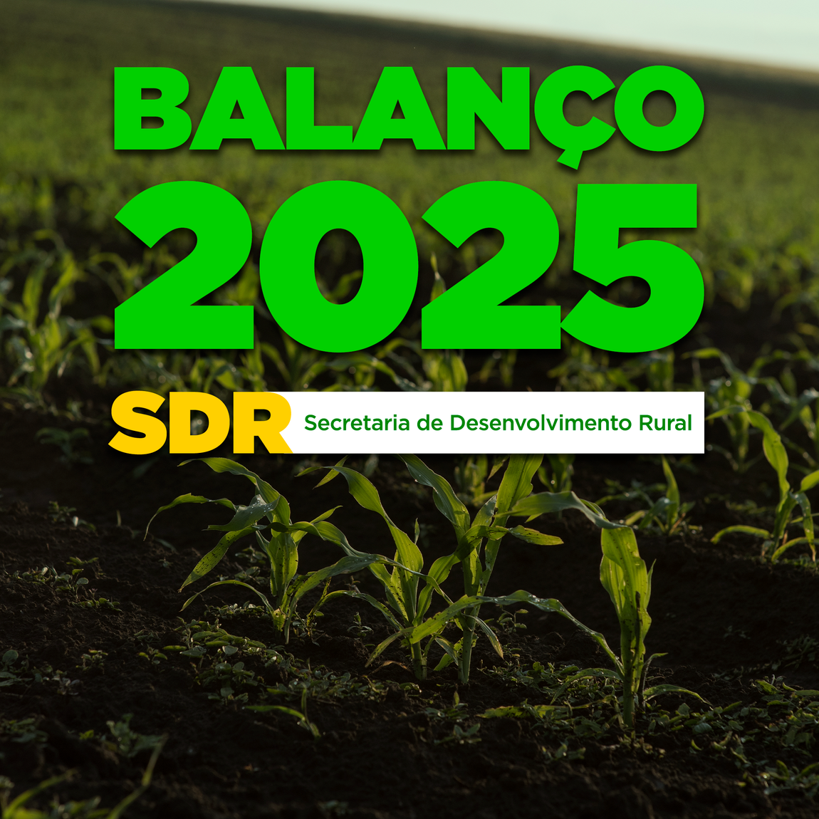 Mapa avança em sustentabilidade, inovação, territorialidade e fortalecimento das cadeias produtivas