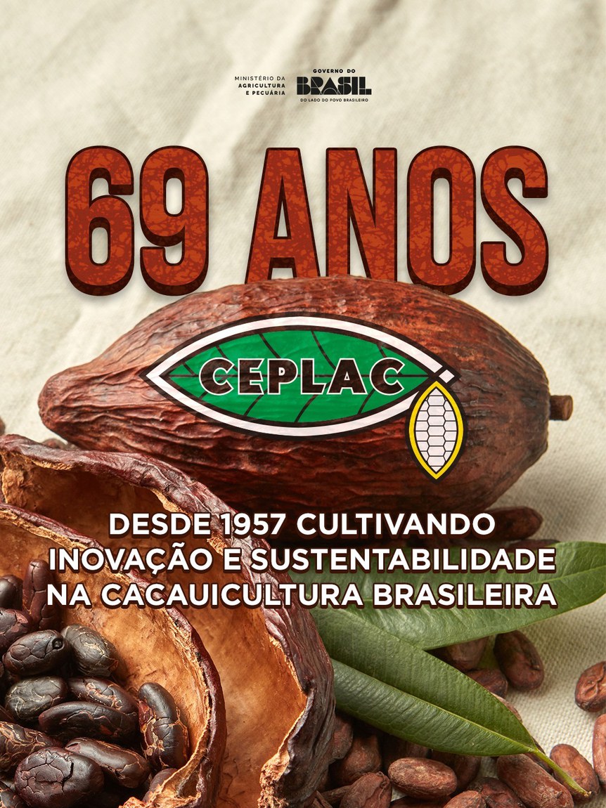 Há 69 anos, Ceplac fortalece a produção de cacau no Brasil