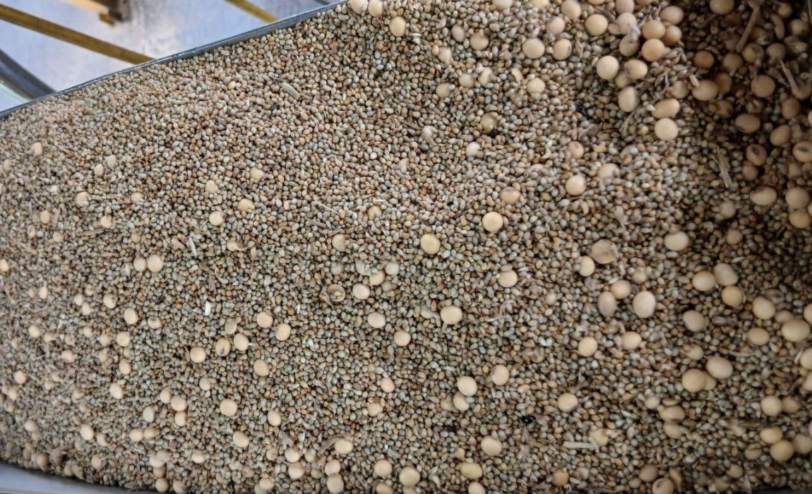 Mapa identifica fraude em carga de soja destinada à exportação no Porto de Paranaguá