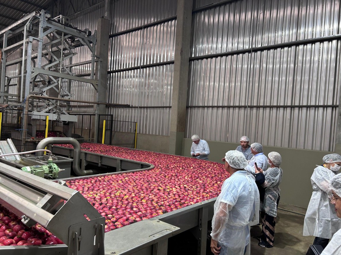 Missão internacional avança na abertura do mercado cubano para frutas brasileiras