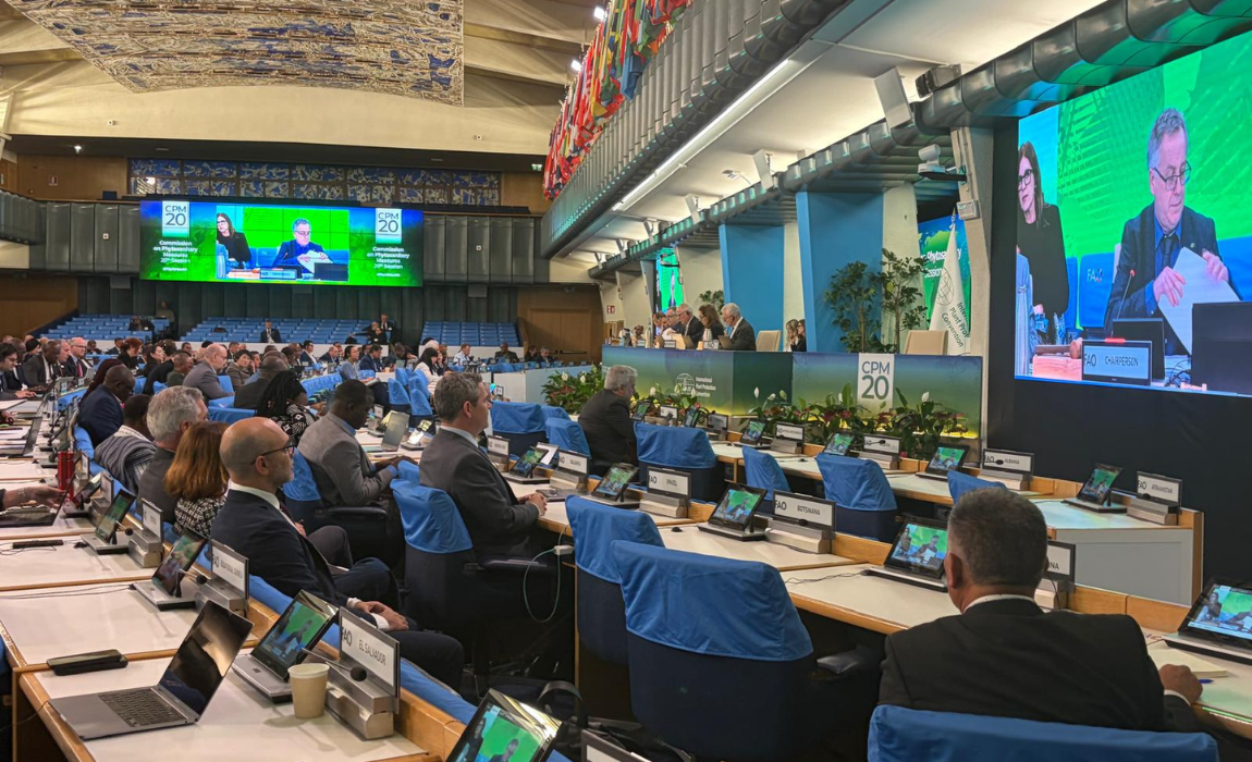 Mapa participa de sessão da FAO sobre proteção fitossanitária em Roma