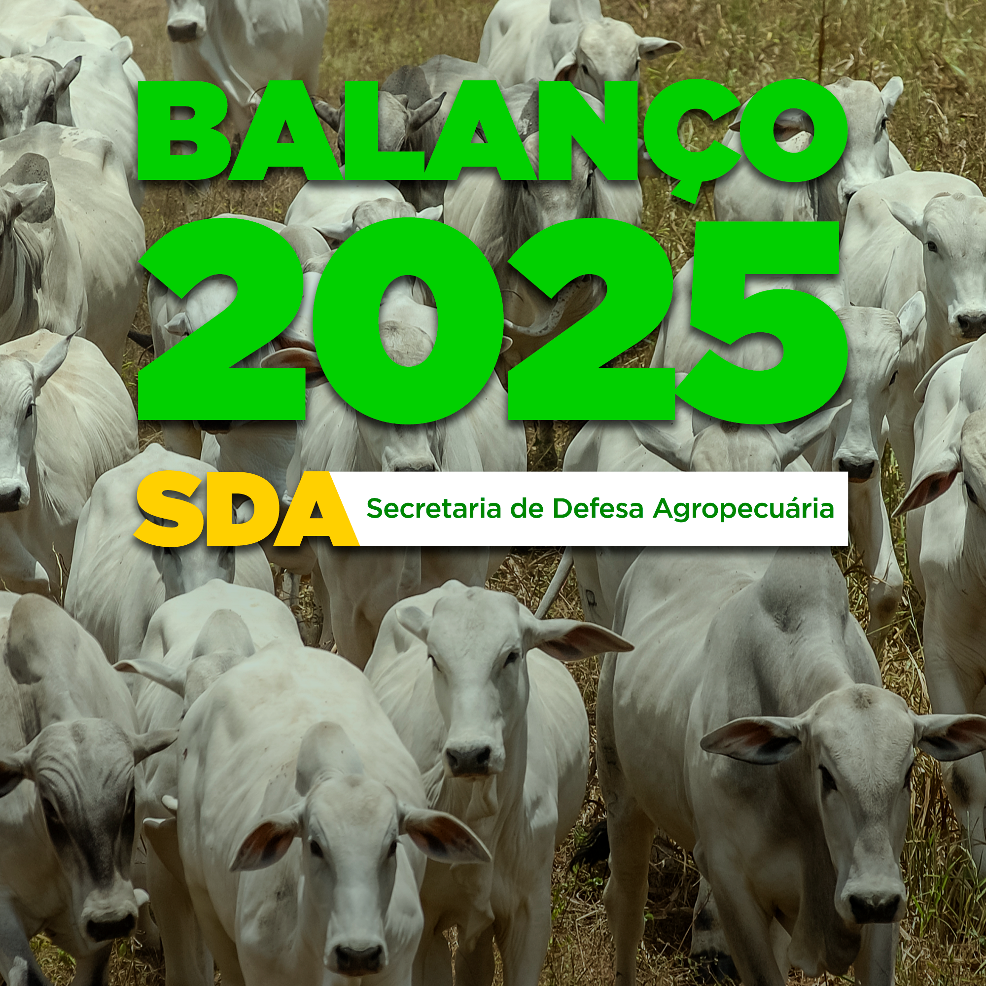 Ano histórico para a defesa agropecuária consolida o Brasil como referência mundial em sanidade animal
