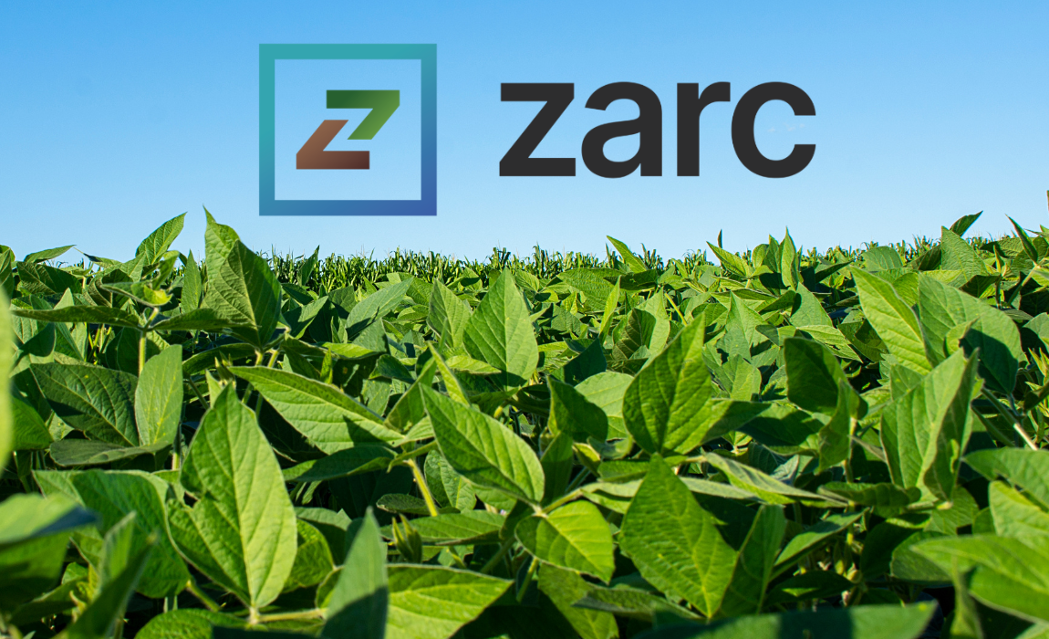 Novo painel do Zarc moderniza consulta às janelas de plantio e reforça gestão de riscos na agricultura