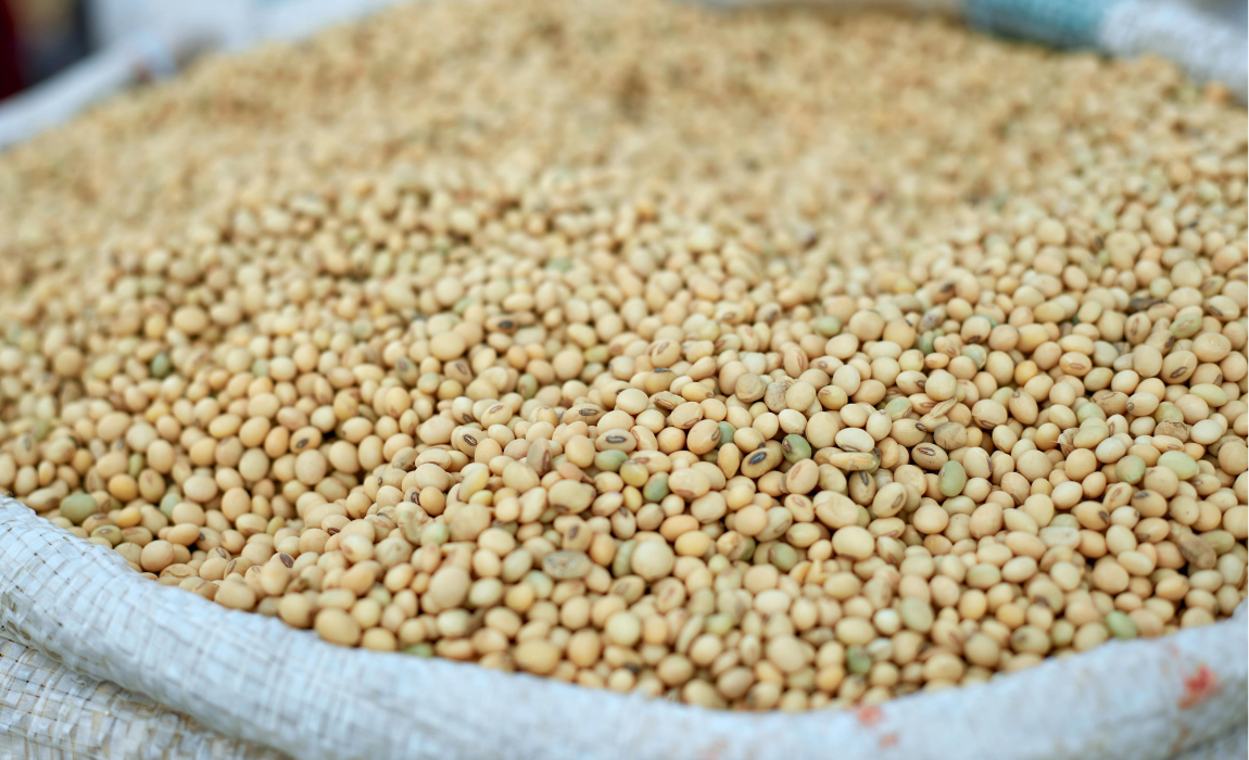 Agronegócio exporta US$ 13,4 bilhões em novembro e responde por quase metade das vendas externas do país