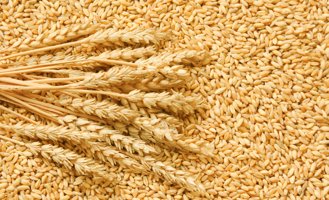Abertura de mercados para produtos brasileiros na Costa Rica, na Malásia e na Nigéria
