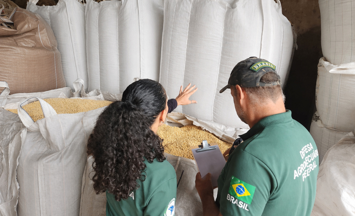 Mapa participa da Operação Semente Segura III no Rio Grande do Sul