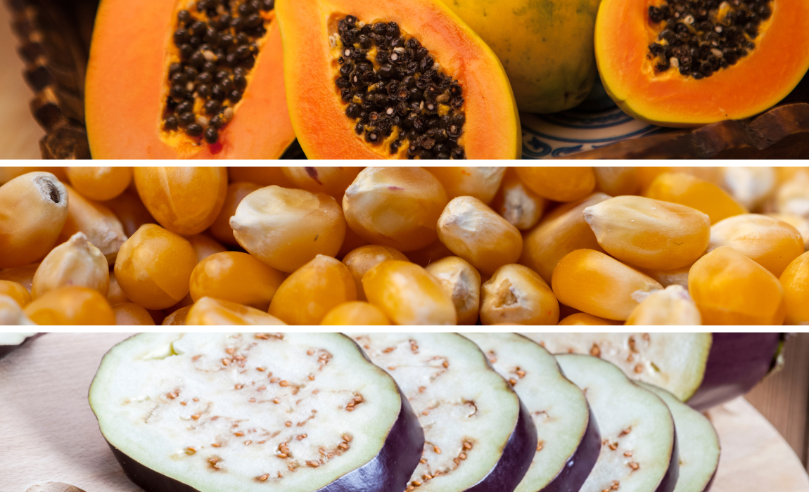 Abertura de mercados para produtos brasileiros no Kuwait, Nicarágua, Síria e Bangladesh