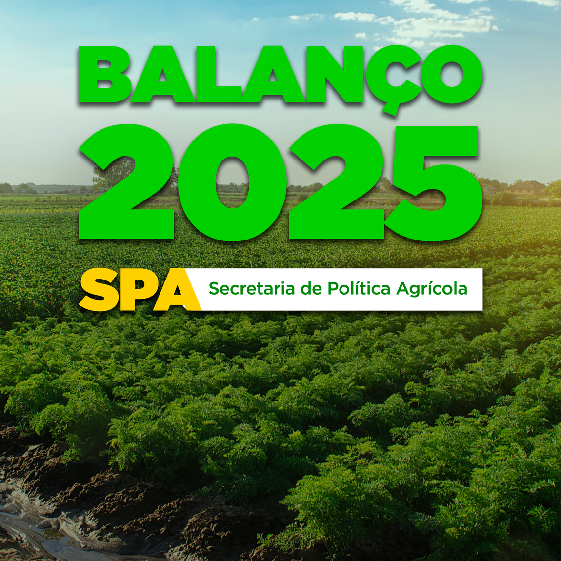 No ano da colheita, políticas de investimento em crédito rural, financiamento privado e comercialização marcaram o 2025 do Mapa