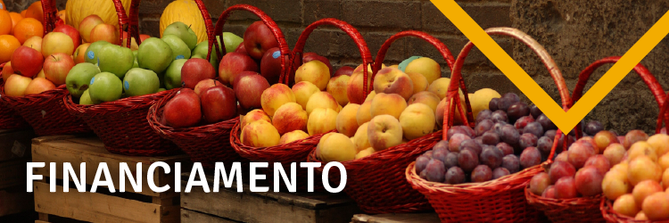 banners-planosafra v2-01.png