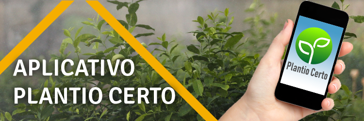 banners-planosafra v2-02.png