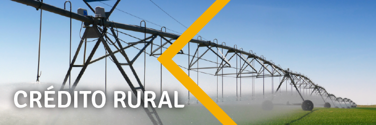 banners-planosafra v2-03.png