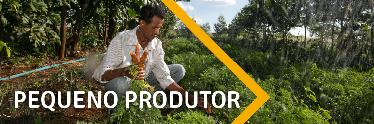 banners-planosafra v2-04.png