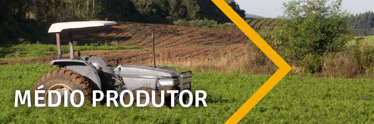 banners-planosafra v2-05.png