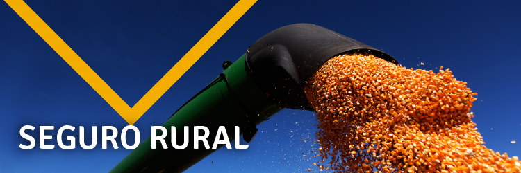 banners-planosafra v2-06.png