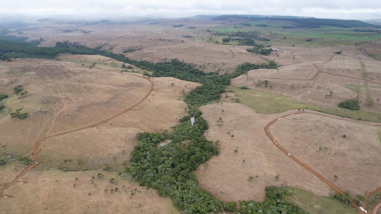 AGU mantém embargo e autuações do Ibama em Santa Catarina