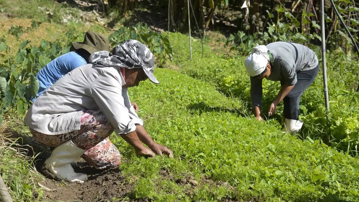 Justiça mantém Incra na posse de imóvel que fazendeiros tentavam recuperar