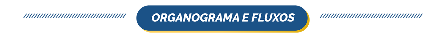 Organograma e Fluxos