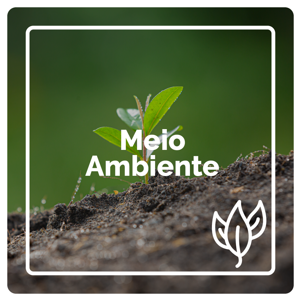 Meio Ambiente