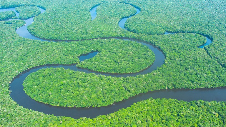 Parque Nacional do Jaú - ICMBio.jpeg