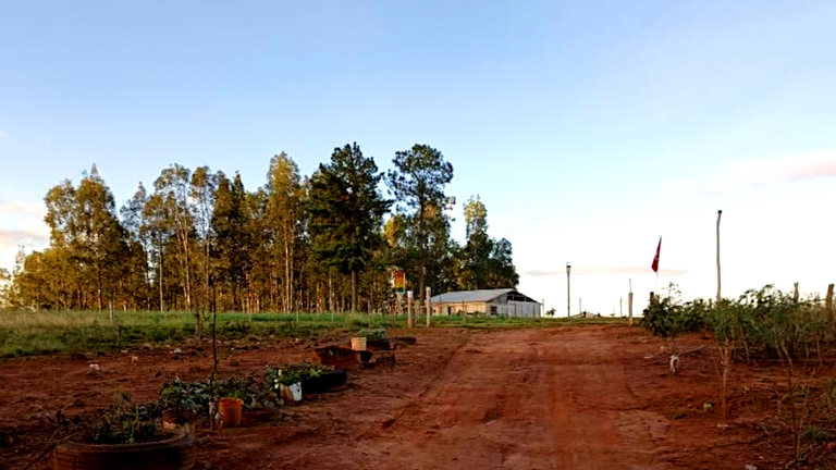 horto florestal cruz alta.png