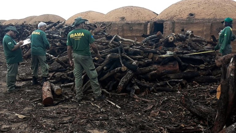Justiça confirmou a legalidade da punição aplicada pelo Ibama pelo uso de carvão vegetal sem verificação de origem