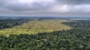 Desmatamento Amazonia Policia Federal.jpg