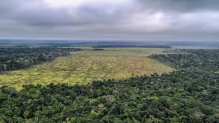 Desmatamento Amazonia Policia Federal.jpg