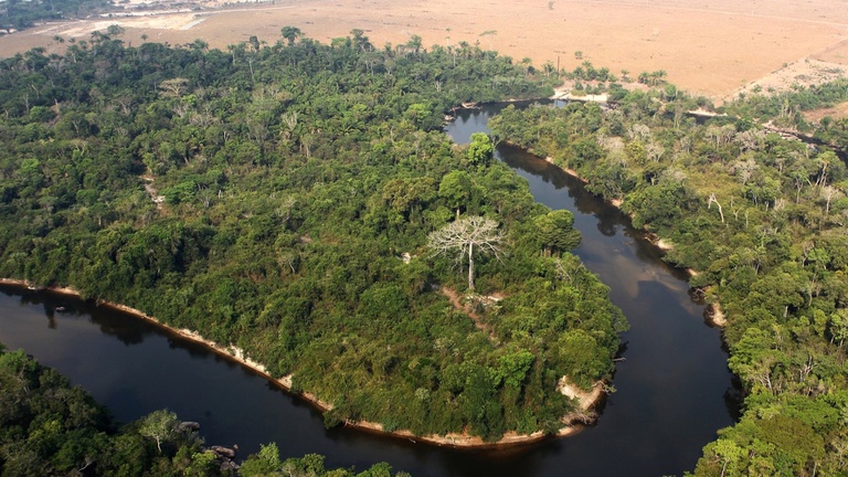 Felipe Werneck-Ibama.jpg