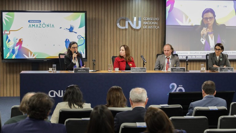 Seminário Amazônia_Ana Araújo_AgCNJ.jpg