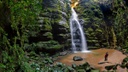 Parna Campos Gerais_ICMBio.jpg