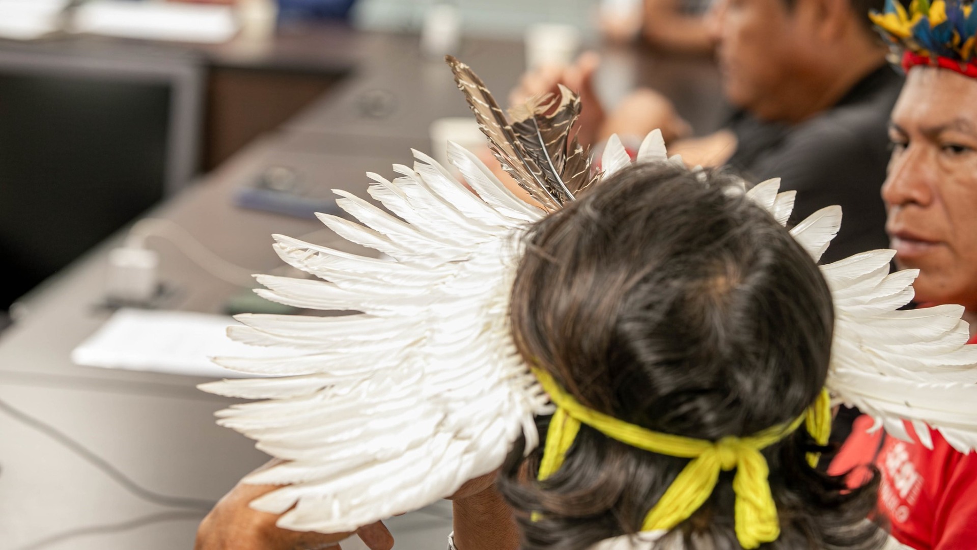 STJ rejeitou mandado de segurança de ruralistas que pretendiam anular declaração de posse da Terra Indígena Ypoi-Triunfo para a comunidade Guarani Ñandeva